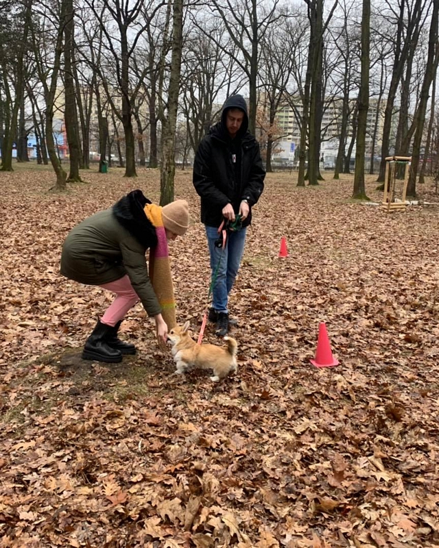 Pet School - klienci