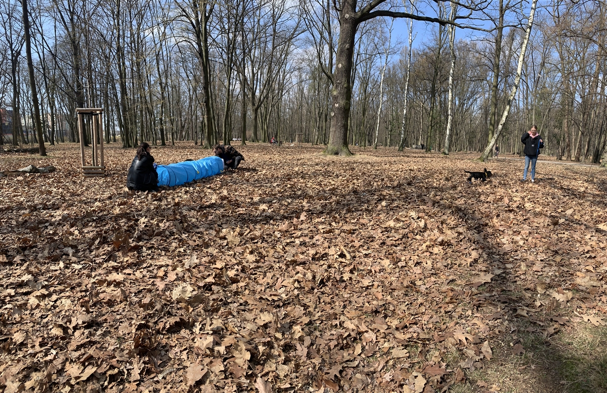 Pet School - psie przedszkole